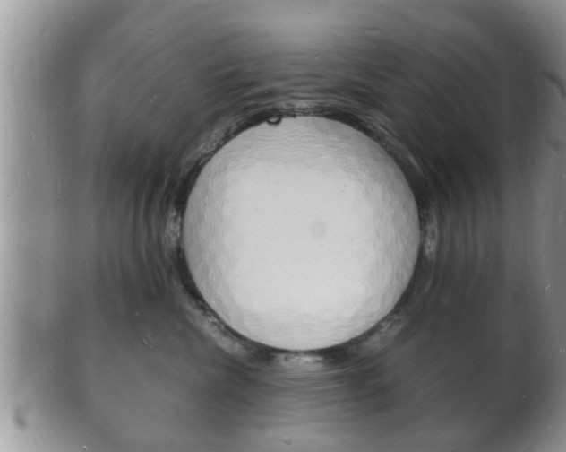 X0000102780476200808180935