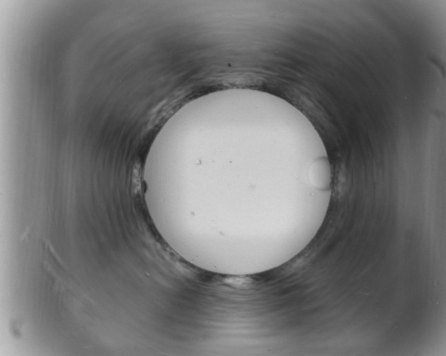 X0000102780478200808180935