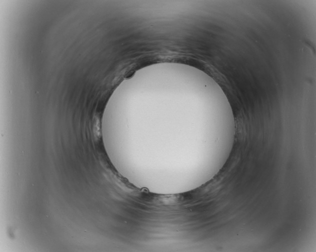 X0000102780479200808180935