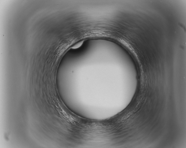 X0000102780481200808180935