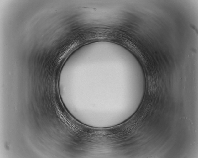 X0000102780482200808180935