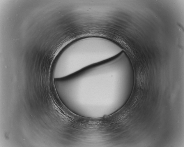 X0000102780484200808180935