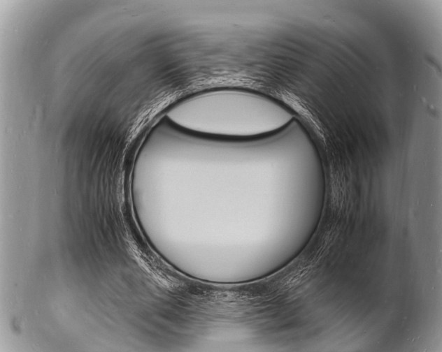 X0000102780486200808180935