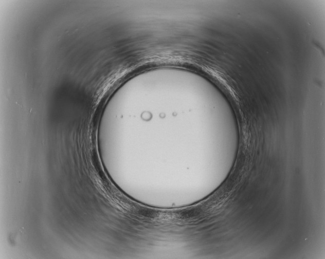 X0000102780487200808180935