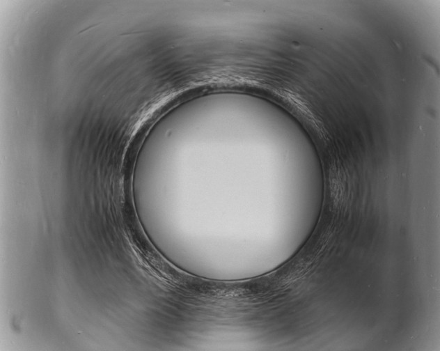 X0000102780488200808180935
