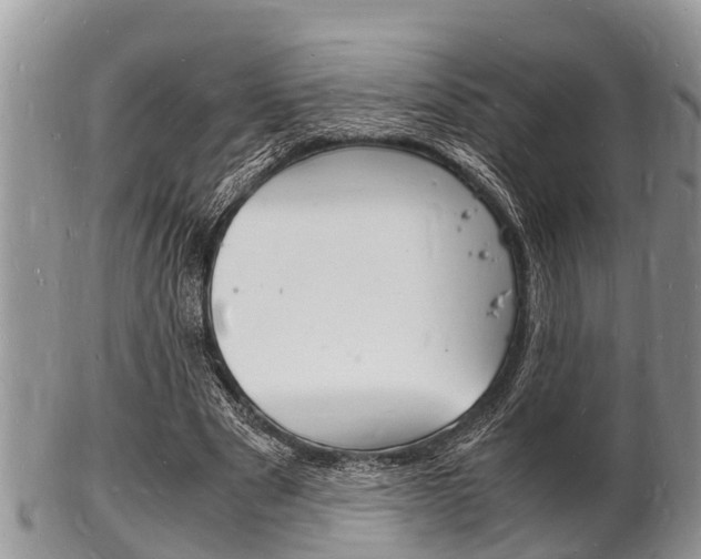X0000102780489200808180935