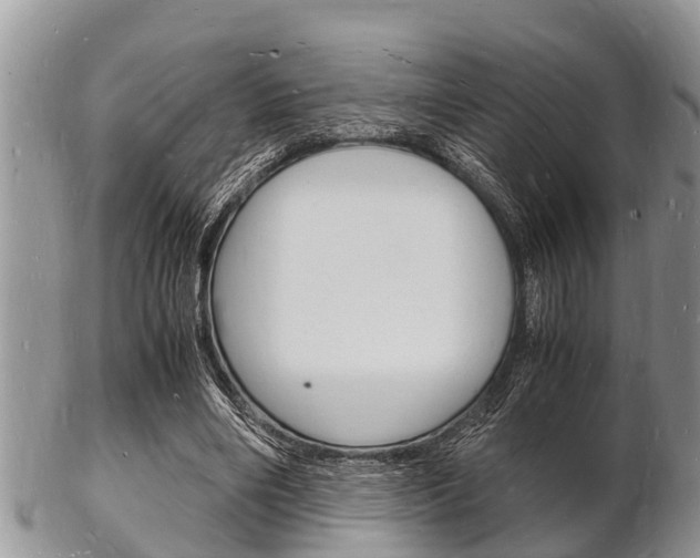 X0000102780490200808180935