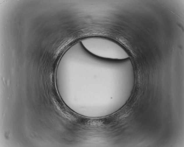 X0000102780491200808180935