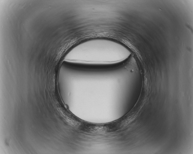 X0000102780493200808180935