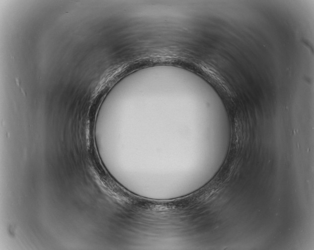 X0000102780494200808180935
