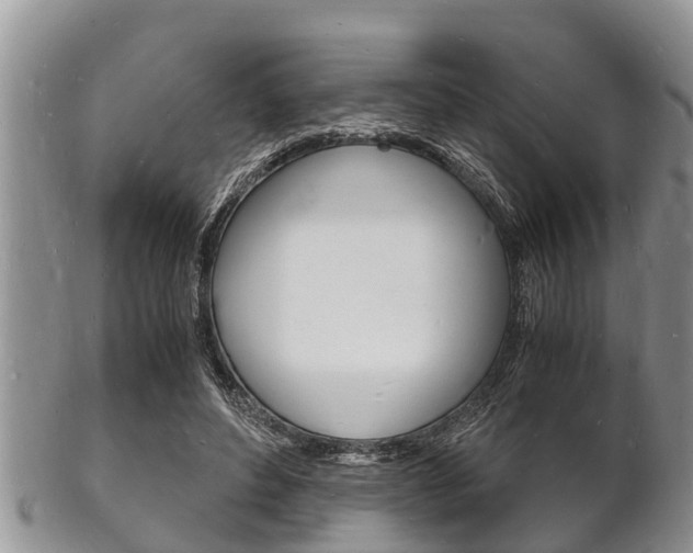 X0000102780496200808180934