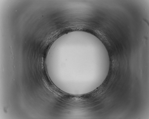 X0000102780498200808180934