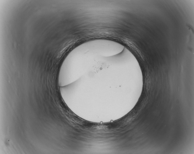 X0000102780501200808180934