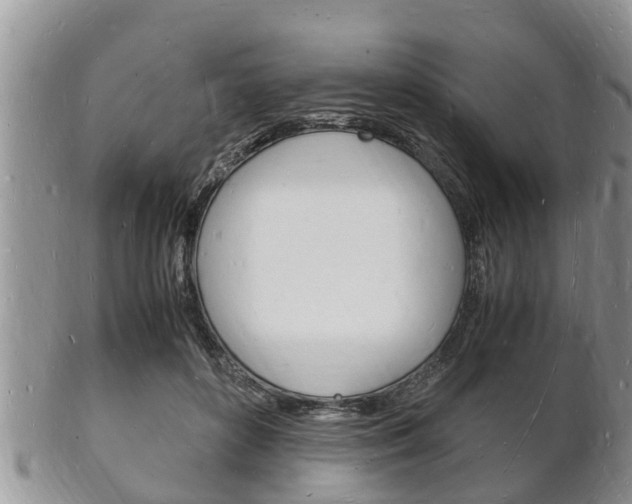 X0000102780504200808180934