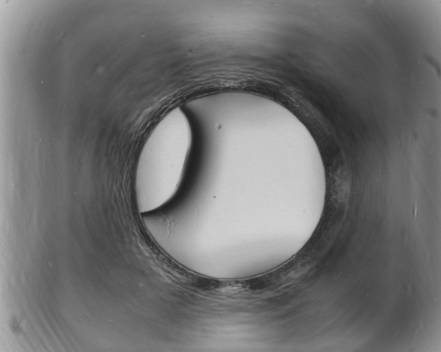 X0000102780505200808180934