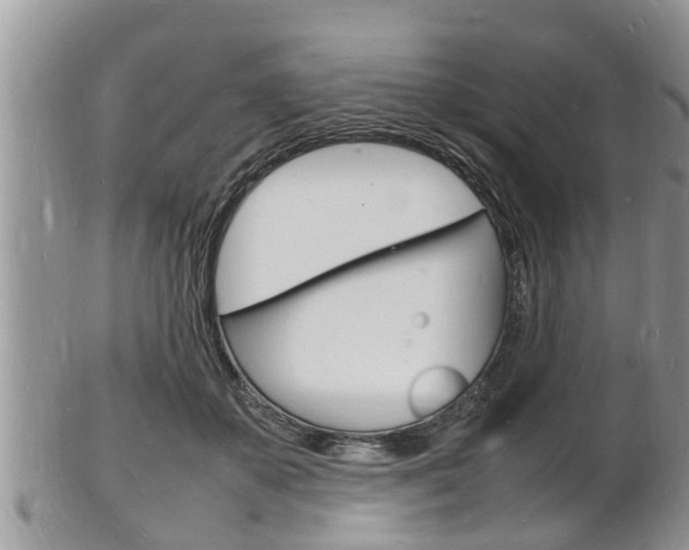 X0000102780507200808180934