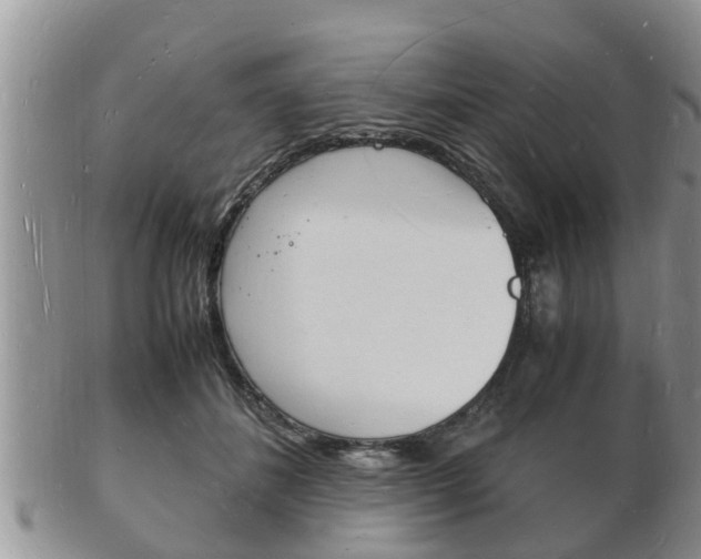 X0000102780508200808180934