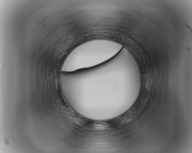 X0000102780510200808180934