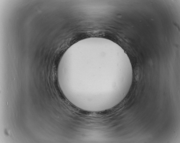 X0000102780515200808180934