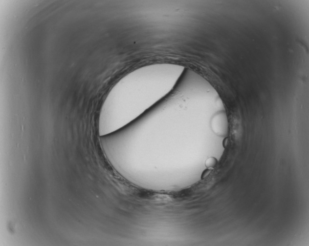 X0000102780519200808180934
