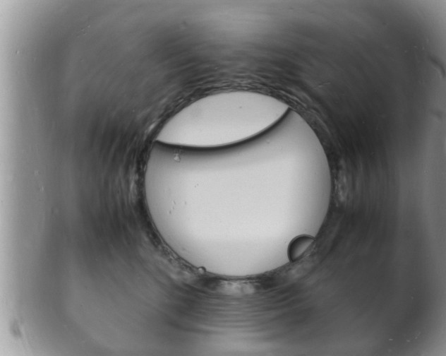 X0000102780520200808180934