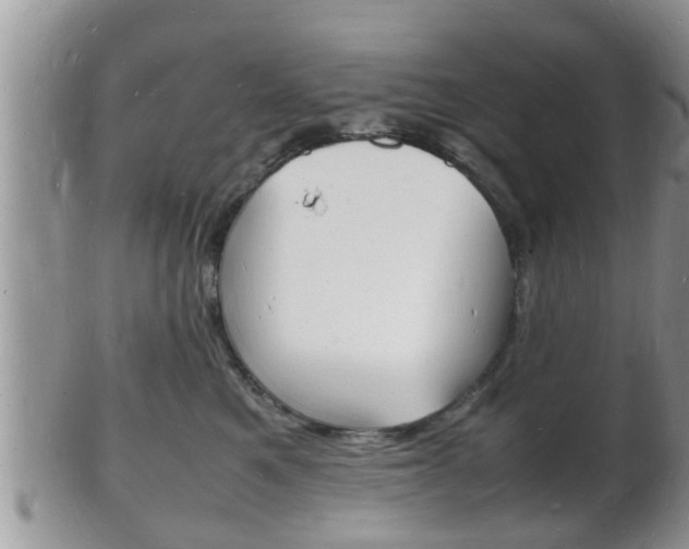 X0000102780521200808180934