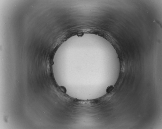 X0000102780524200808180934