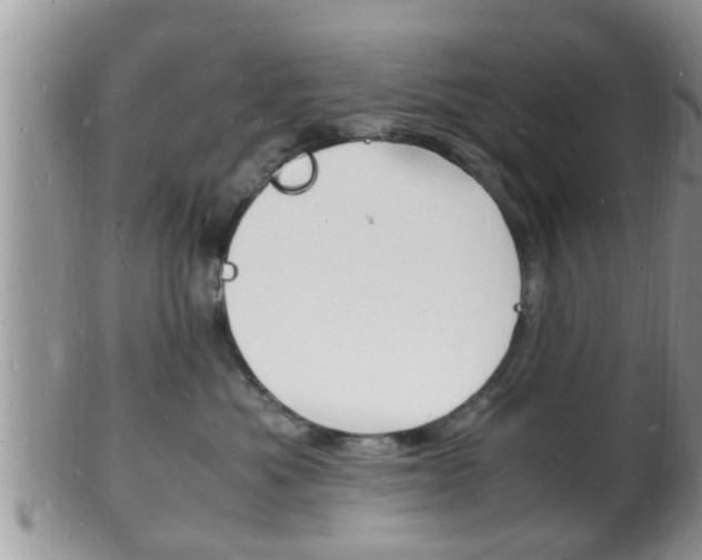 X0000102780525200808180934