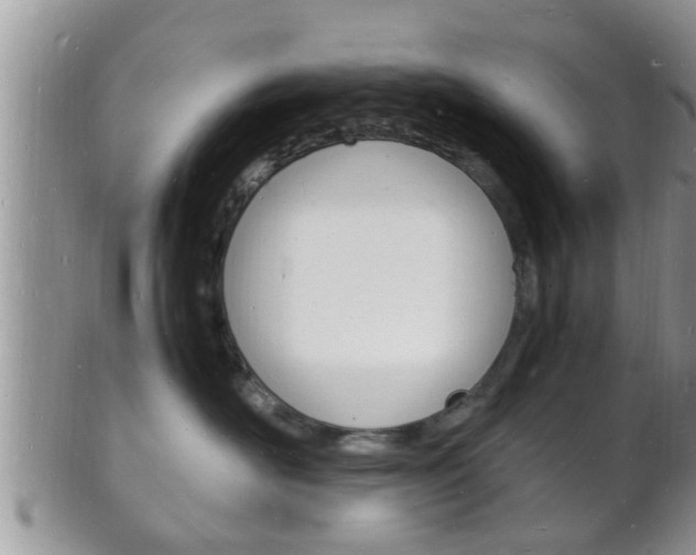 X0000102780526200808180934