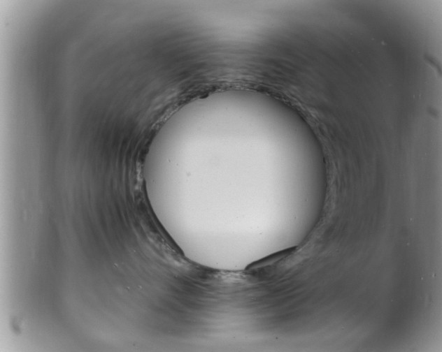 X0000102780528200808180934