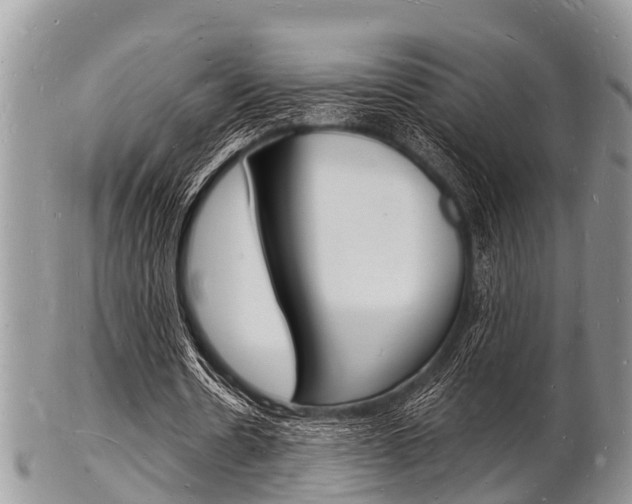 X0000102780530200808180933