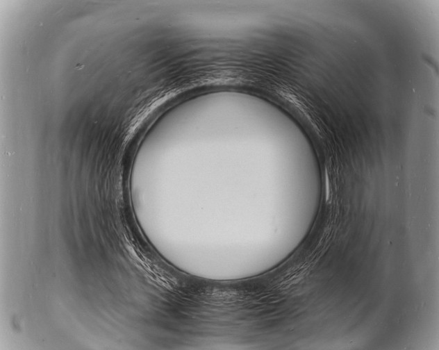 X0000102780531200808180933