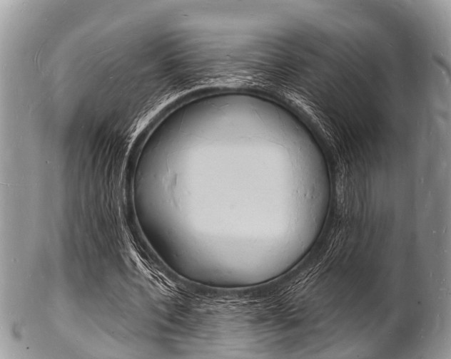 X0000102780532200808180933