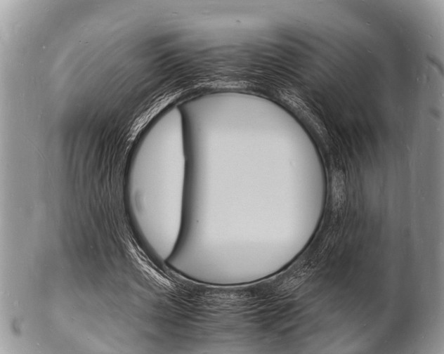 X0000102780533200808180933