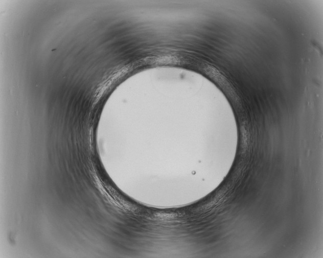 X0000102780534200808180933