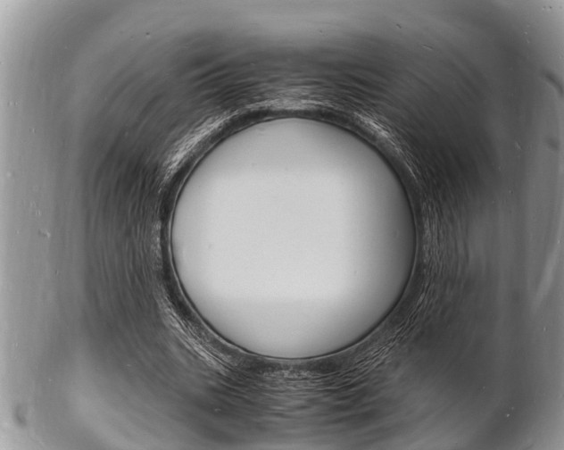 X0000102780535200808180933
