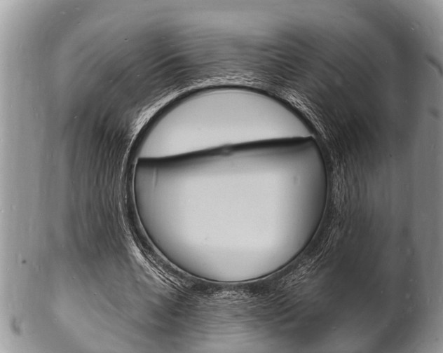 X0000102780536200808180933