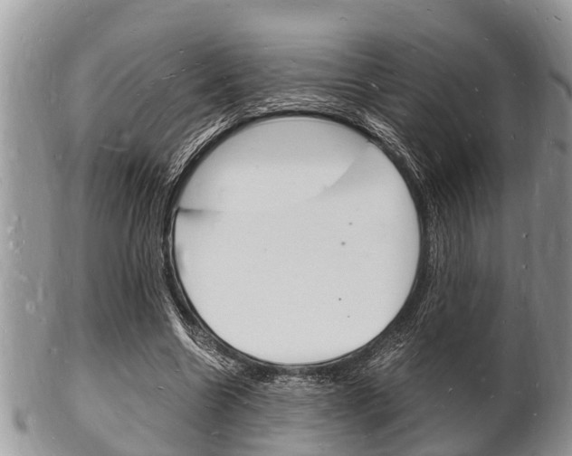 X0000102780538200808180933