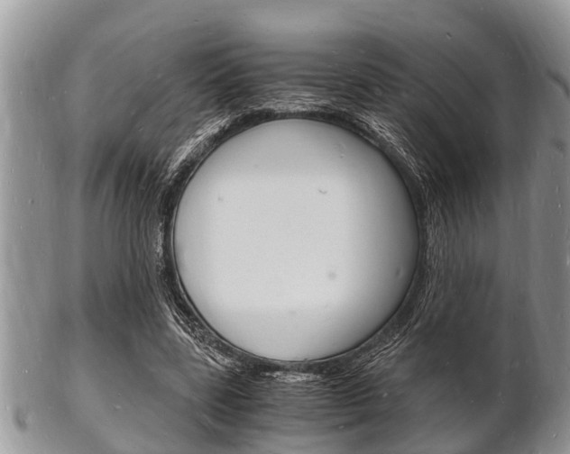 X0000102780539200808180933
