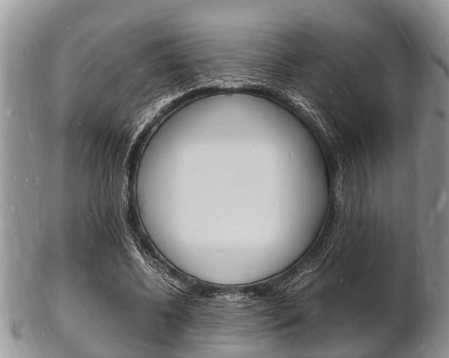 X0000102780540200808180933
