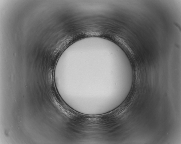 X0000102780541200808180933