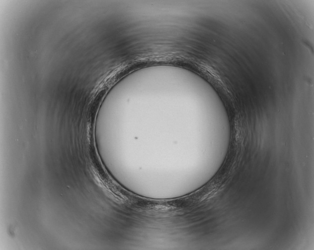 X0000102780542200808180933