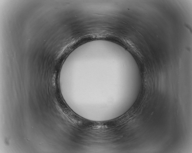 X0000102780543200808180933