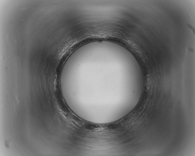 X0000102780544200808180933