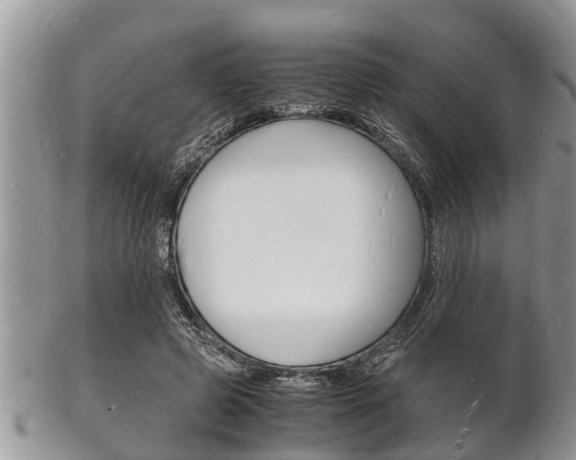 X0000102780545200808180933