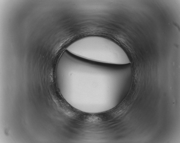 X0000102780547200808180933