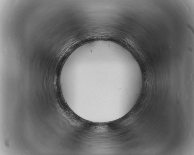 X0000102780548200808180933