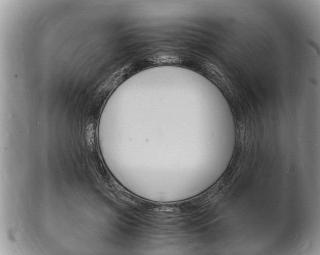 X0000102780549200808180933