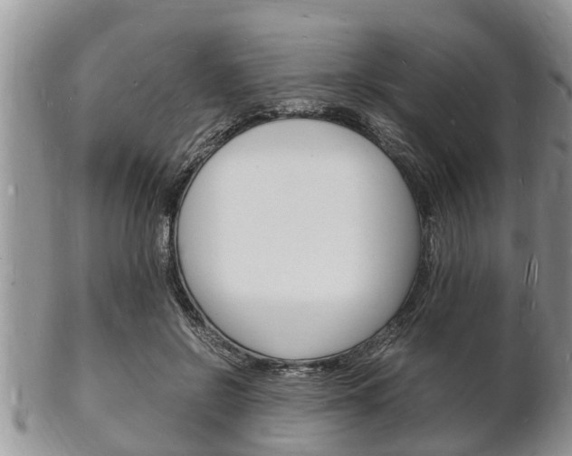 X0000102780550200808180933