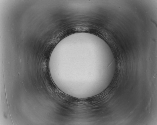 X0000102780551200808180934